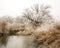 Frosted trees at the river Paar