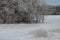 Frosted Trees Beside Snow Covered Field