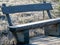 Frosted wooden bench in the swamp