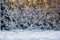 Frostwork. Close up of snowflakes and frost on the window glass. Winter background.