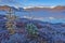 Frosty autumn dawn on Jack London\'s lake. A fog. Hoarfrost on plants. Kolyma