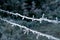 Frosty barbed wire, green natural environment background.