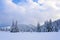 On a frosty beautiful day among high mountains and peaks are magical trees covered with white fluffy snow.