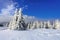 On a frosty beautiful day among high mountains and peaks are magical trees covered with white fluffy snow