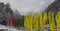 frosty cold winter at yumthang valley, buddhist prayer flags flying in the valley