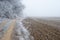 Frosty countryside landscape