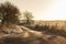 Frosty Countryside Lane