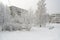 Frosty day in Russia, snow-covered trees and benches in a city park