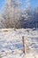 Frosty fence in a pasture