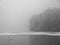 Frosty foggy lake landscape with lonely Mute swan, winter season nature, copy space