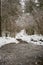 Frosty Footprints: Exploring Snow-Adorned Paths in Latvian Woodlands