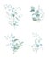 Frosty green hand painted watercolor bouquets. Isolated. Greenery clipart.