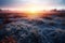 Frosty meadow at sunrise,  Beautiful winter landscape,  Nature background