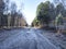 Frosty morning in Allerthorpe Woods, East Yorkshire, England