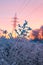 Frosty morning pink dawn like background