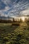 Frosty morning sunrise with short building on the left and a grassy field in the foreground on the Sammamish River trail in