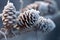 frosty pine cones on a snow-covered branch