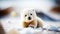 Frosty Playtime: Adorable Polar Bear Cub in Snowy Wonderland. Generative AI