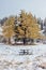 Frosty seat for fall colours