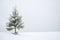 Frosty snow covered fir tree in snow as winter background.