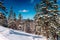 Frosty sunny day in winter forest.