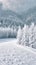 Frosty tranquility A forest adorned in a layer of snow