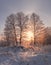 Frosty winter evening, trees in snow and hoarfrost on the background of sunset