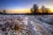 Frosty Winter landscape across field at sunrise