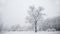 Frosty winter landscape with a detached snowy tree