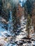 frosty winter landscape, a fast mountain river flows and soars under ice and snow in forest after a snowfall. Prohodnoye Gorge