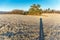 Frosty winter morning. Long human standing on the grass. Landscape with the shadow of a man. Shadow of a man in a meadow