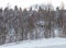 A frosty winter morning in a mountainous area with frozen nature and snow captivity.