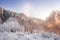 Frosty winter nature landscape in pink morning sunlight. Scenery winter with hoarfrost on trees and plants. Beautiful winter day