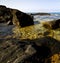 froth coastline in lanzarote water musk and summer