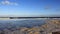 Frothy Of Sea Bubble On Baltic Seaside Color Of Nature