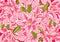 Frower pink pattern design background wall paint