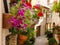 Frower pots on the wall in medieval street of old town in Spello, Italy