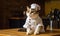 Frowning cat with white paws and whiskers wearing cook s coat and cap sits on the wooden table. Cutlery at backdrop. Generative