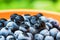 Frozen aronia chokeberry berries in a bowl