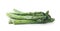 Frozen asparagus stems on white background