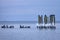 Frozen Baltic Sea beach in Babie DoÅ‚y at sunset, Gdynia. Poland