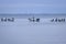 Frozen Baltic Sea beach in Babie DoÅ‚y at sunset, Gdynia. Poland