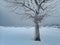 Frozen basketball playground on a tree