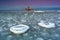 Frozen beach of the Baltic Sea in Babie DoÅ‚y at sunset, Gdynia. Poland