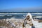 Frozen beach Baltic sea with wooden breakwaters on the side