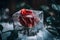 Frozen Beauty: A Red Rose Trapped in an Ice Cube in a Natural Setting.