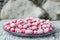 Frozen berries, covered with frost - dogwood on a gray concrete background. Space for text, copy space. Side view.