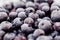 Frozen berry background food and blueberry delicious dessert.