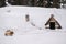 Frozen big guard watchdog on snow in winter near dog house in natural park