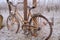 Frozen bike covered with ice. Frozen bike in the middle of wintry vineyard